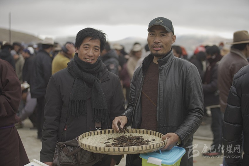 雪山掘金人草里淘金見從容