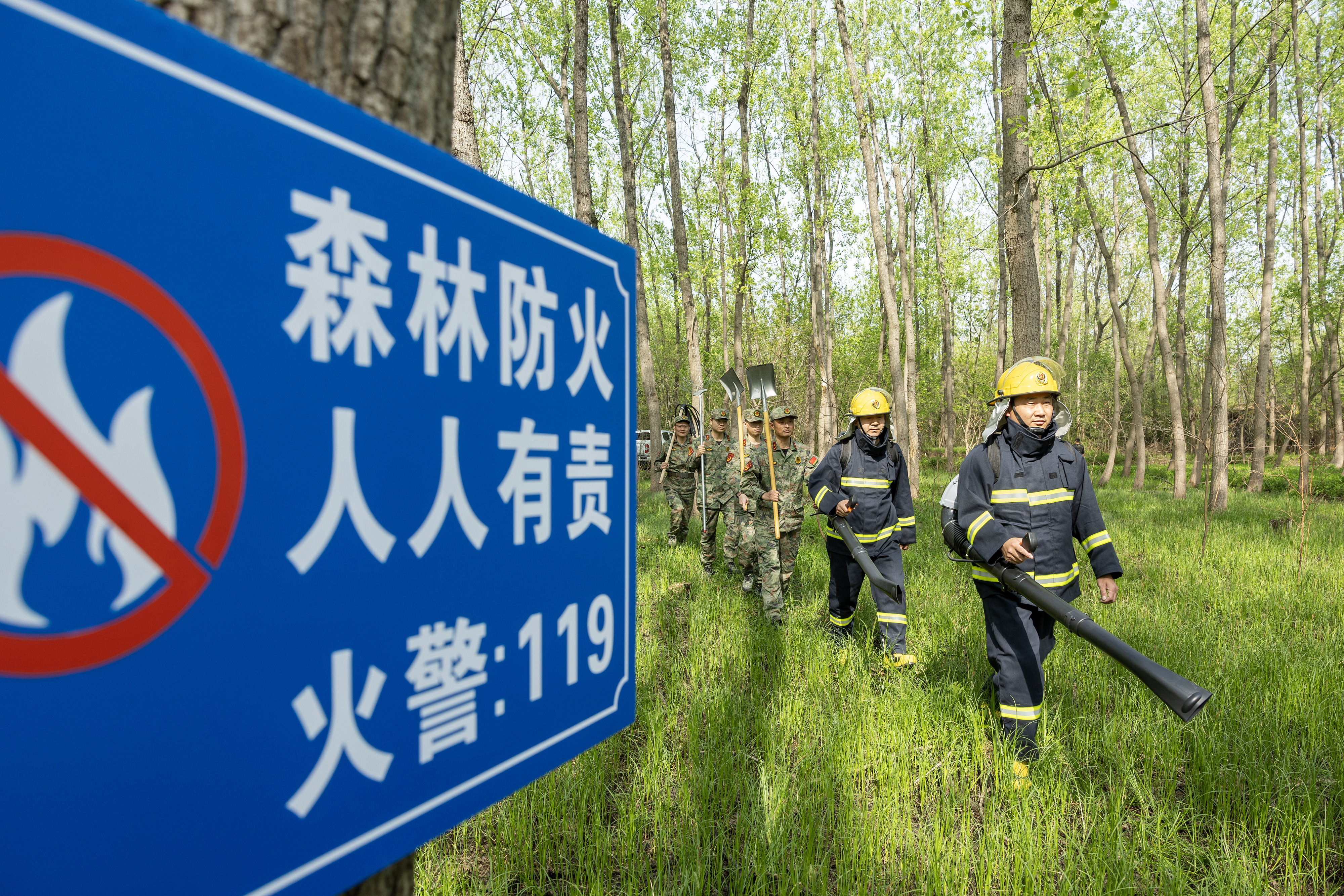 2024年4月9日，合肥市大房郢水庫(kù)水源保護(hù)地廬陽(yáng)經(jīng)濟(jì)開(kāi)發(fā)區(qū)段，基干民兵正在林間巡查火災(zāi)隱患。