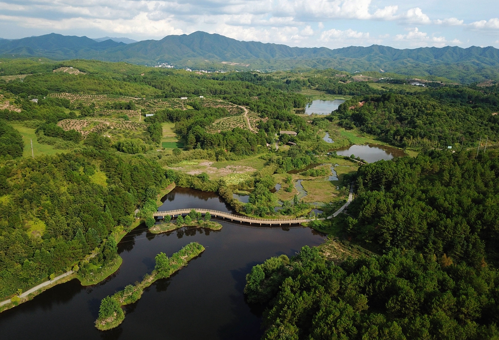 福建省龍巖市長汀縣的長汀汀江國家濕地公園景色（2020年7月28日攝，無人機照片）。新華社記者 魏培全 攝