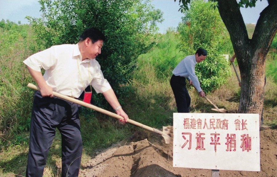 2001年10月，習近平在龍巖市長汀縣調研水土流失治理工作，在河田世紀生態(tài)園為樹培土。圖源：《習近平在福建（下）》