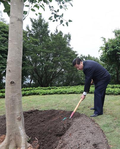 2012年12月7日至11日，習(xí)近平在廣東省考察工作。這是8日上午，習(xí)近平在深圳蓮花山公園種下一棵高山榕樹(shù)。新華社記者 蘭紅光 攝